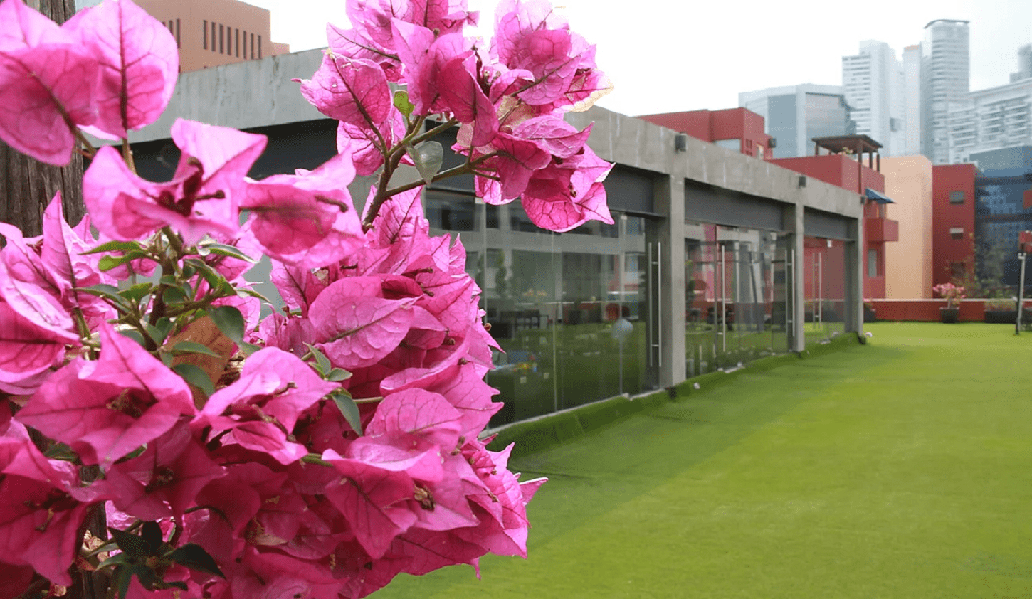 Terraza para Fiestas Santa Fe2